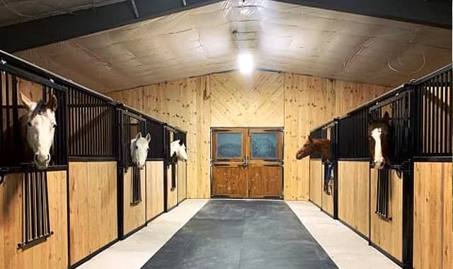 Horse stalls with curious horses
