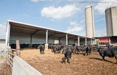 A steel building used shelter cattle